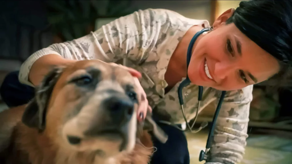 Understanding Pet Hospice Services A Compassionate Solution for Your Pet's Final Journey